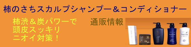`̂XJvVv[RfBVi[TCg
